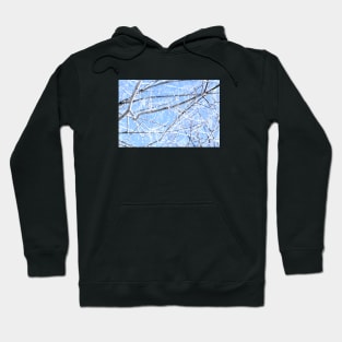 Kaleidoscope Therapy Winter Expression Hoodie